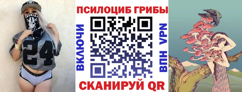 купить наркоту Хотьково Галлюциногенные грибы GOLDEN TEACHER